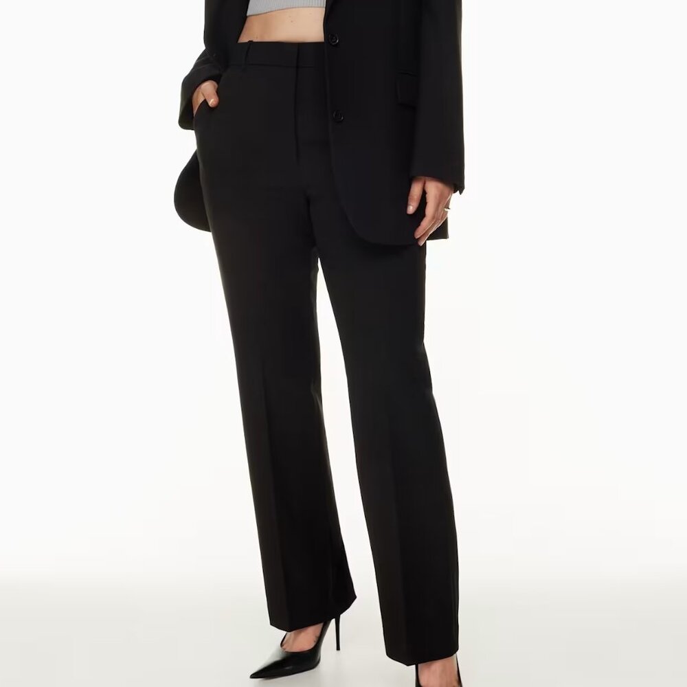 Aritzia Babaton Publish Pants